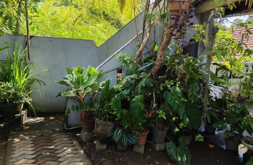 Thalaramba Villa | Thaksilu Home