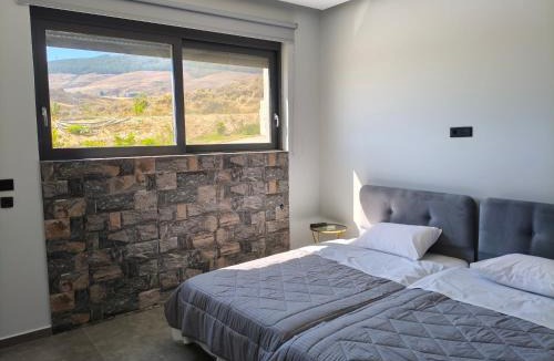Psalidi Apartment | Thalori villa 1