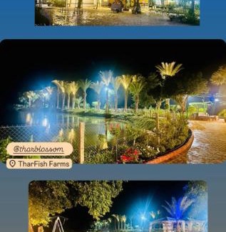 Lunkaransar Other | Thar blossoms resort
