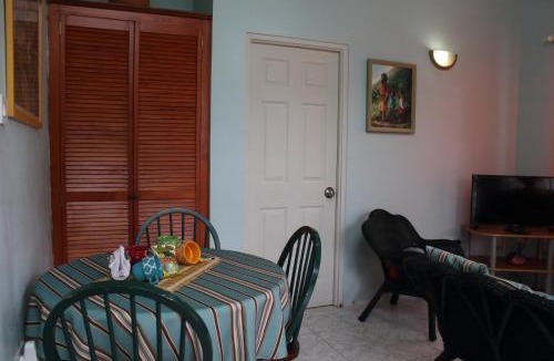 Roseau Apartment | The AnSwin Apartment