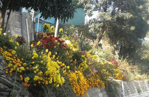 Kotgarh Apartment | The Atmosphere