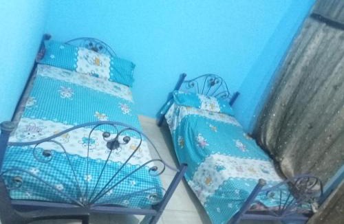 Luxor Hostel | The authentic Egyptian house