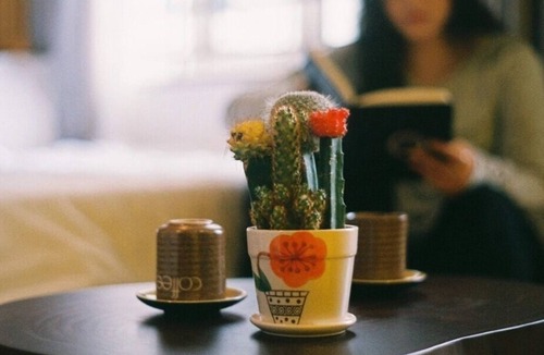 Truc Bach Hotel | The Autumn Homestay-LAKE VIEW room, with balcony, next to the WEST LAKE