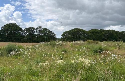 West Meon House | The Barn