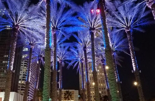 Downtown Tampa Hotel | The Barrymore Hotel Tampa Riverwalk