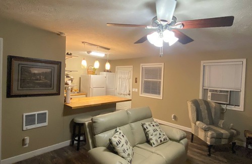 Leadsville Cottage | The Bear BnBee-Quaint Cottage Outside Charming Elkins!