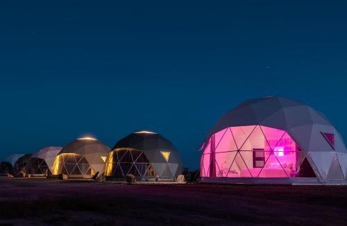 Willcox Other | The Beer Dome