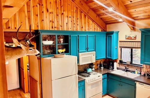 Dorrington Cabin | The Big Trees Hideaway in Arnold, CA – Your Nature Getaway Awaits!