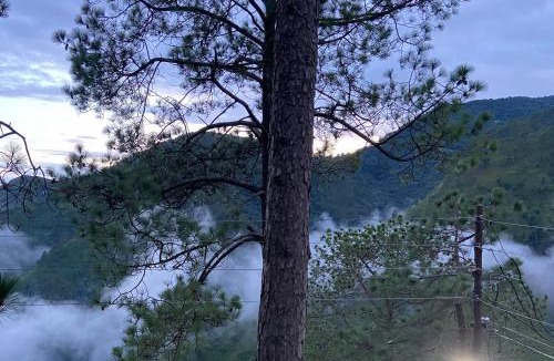 Nainital House | The Blessings