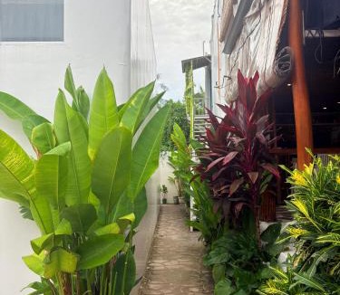 General Luna Hotel | The Blue Doors- Siargao