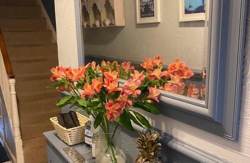 Torquay City Centre Bed & Breakfast | The Blue House B&B