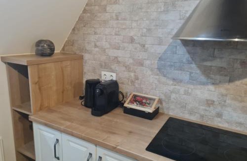 Bistrita Apartment | The Bricks 1903 Lofts - Central Bistrita