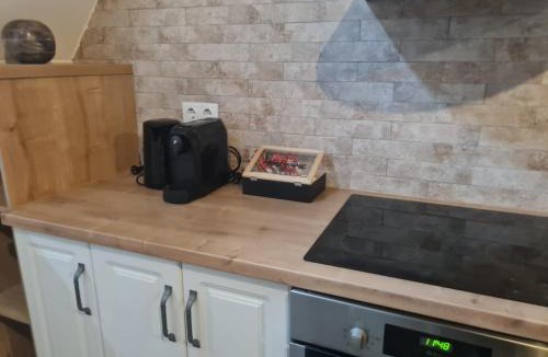 Bistrita Apartment | The Bricks 1903 Lofts - Central Bistrita