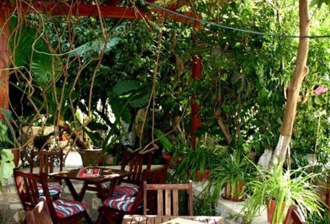 Pissouri Hotel | The Bunch Of Grapes Inn