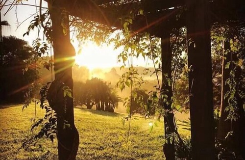Rosebank House | The Bunkhouse- Byron Hinterland retreat