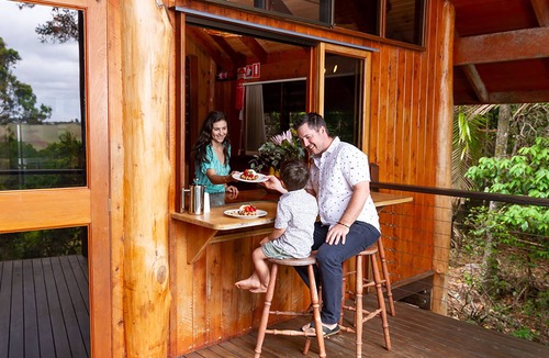 Tarzali Apartment | The Canopy Rainforest Treehouses and Wildlife Sanctuary