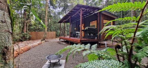 Tarzali Cabin | The Canopy Rainforest Treehouses & Wildlife Sanctuary