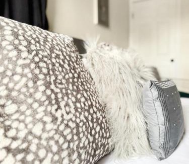 Evansville Apartment | The Cardinal Studio Apartments