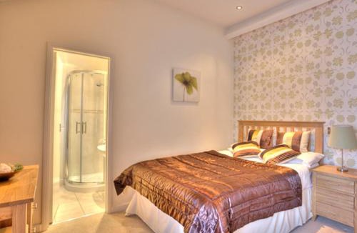 Rugby House | The Carlton