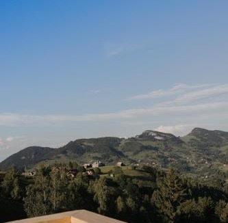 Pestera Ski Chalet | The Cave