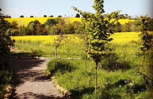 Wallingford Bed & Breakfast | The Chilterns View