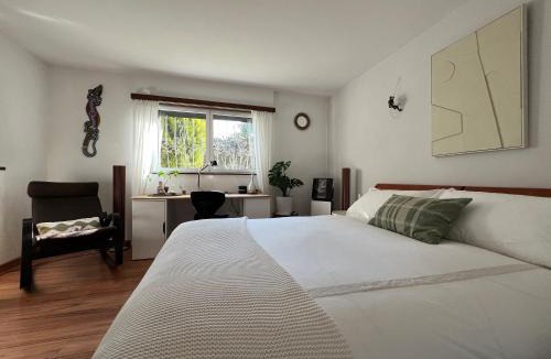 Ponte Capriasca House | The Comfy Apartment