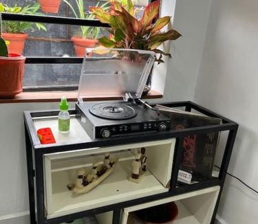 Ofin Villa | The Conservatory