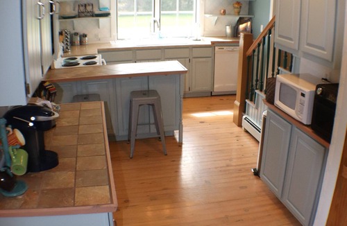 Marquette County House | The Copper Moose Cottage on Lake Michigamme