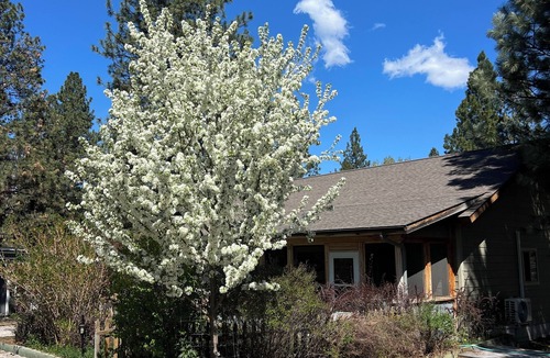 Victor Cottage | The Cottage at Parallel 46 Vineyard