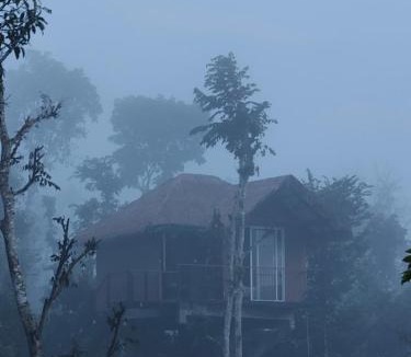 Kolagappara Resort | The Crescent Wayanad Heritage Pool Resort