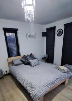 Leckwith Apartment | The Cwtch