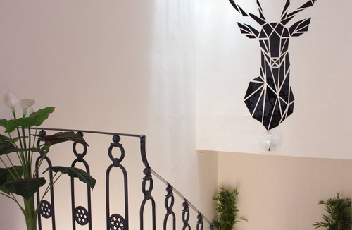 Florence House | The Deer Oasis