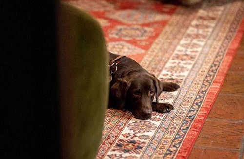 Reepham Hotel | The Dial House