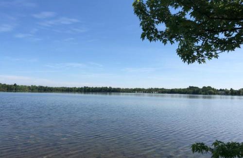 Elk Rapids House | The Dragonfly