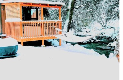 Flag Pond Cabin | The "Eleanor Rigby" DIRECT STREAM FRONT W HOT TUB