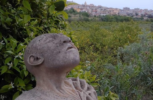 Noto Villa | The First Flower