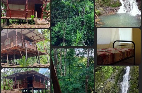 Canton Parrita House | The Forest Cabin