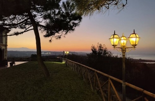 Vasto Villa | The Fox In The Pine Forest