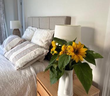 Clyde House | The Garden Room