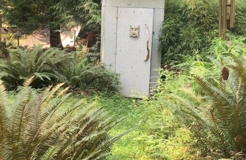 Savary Island House | The Garden Suite