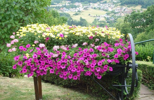 Haselbourg House | The gîte Fleuri with a magnificent view