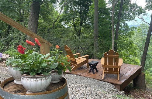 Hammondsport Cabin | THE GRAPE ESCAPE - PET FRIENDLY! - OFF GRID - ROMANTIC LAKE VIEW - ON WINE TRAIL