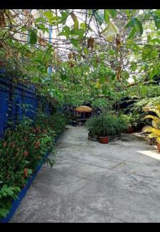 Kampot Apartment | The Hideout