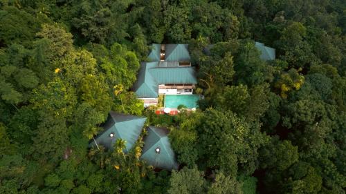 Muttil South Hotel | The Hive Wayanad