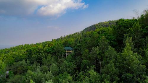 Muttil South Hotel | The Hive Wayanad
