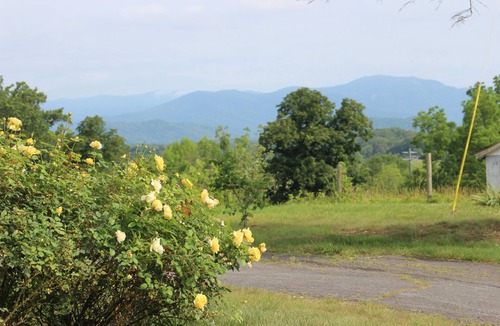 Madison House | The Honeysuckle Cottage in beautiful Madison VA