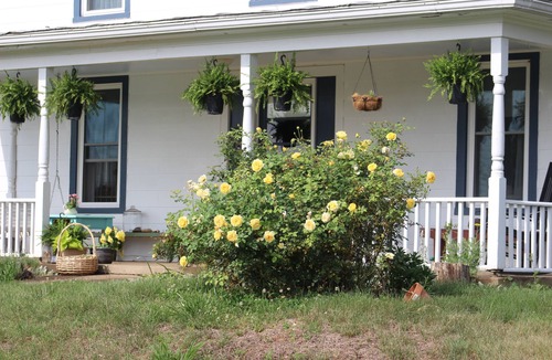 Madison House | The Honeysuckle Cottage in beautiful Madison VA