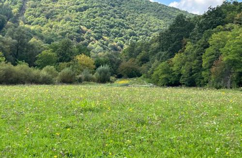Ciudanovita Other | The Hunter’s Camping Zone