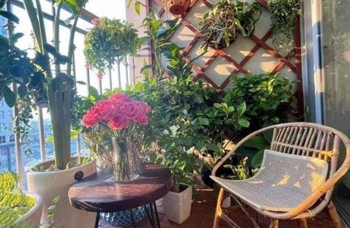 Gujrat House | The Interior Design Concept Home