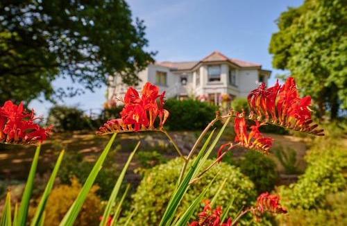 Heswall House | The Jug And Bottle